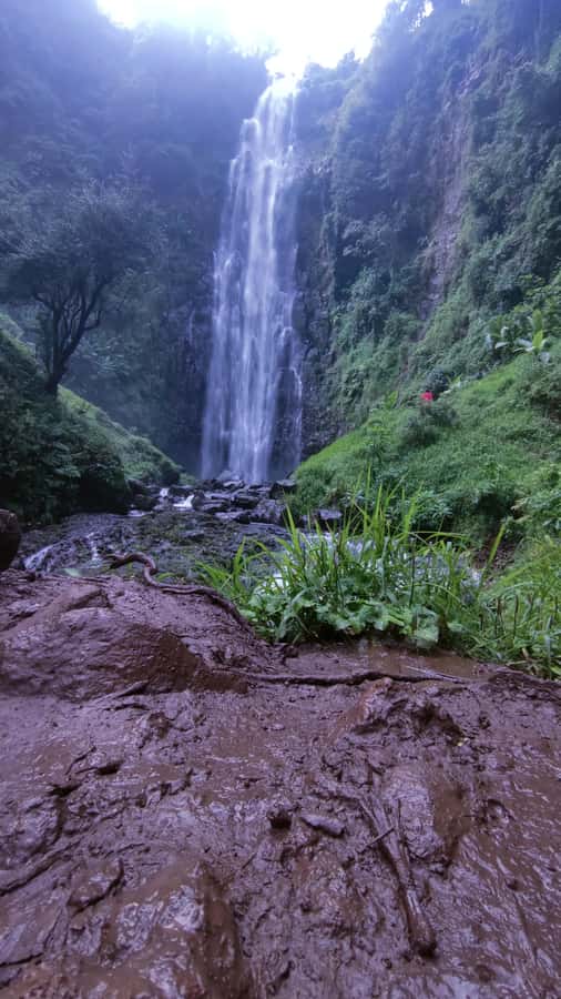 Moshi: A Day Tour To Materuni Waterfall - Picnic lunch with a view, then a little cultural extra time