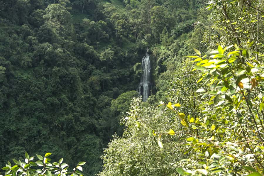 Moshi: A Day Tour To Materuni Waterfall - Logistics that can make or break your day