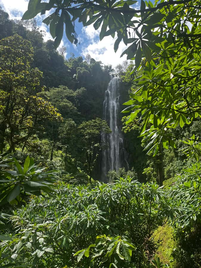 Moshi: A Day Tour To Materuni Waterfall - Should you book this Moshi to Materuni Waterfall tour?