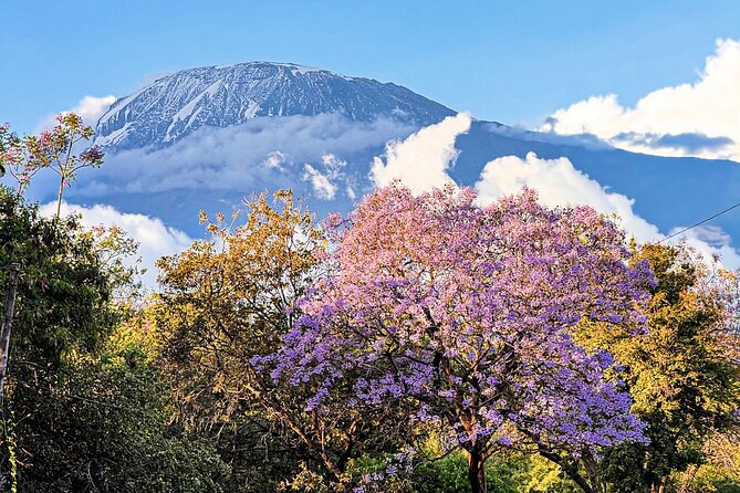 Moshi City Tour: Explore the Foothill of Kilimanjaro on Foot - Quick hits before you lace up