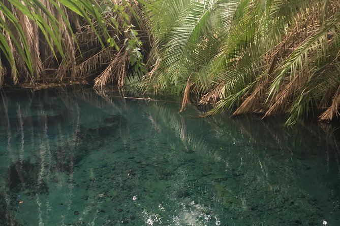 Moshi Hotspring - Kikuletwa Pool Time: Fish Pedicure, Rope Swings, and Inner Tubes