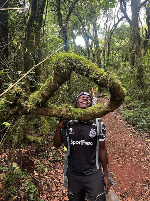 Moshi: Kilimanjaro Climb Marangu Route Guided Tour - Key highlights you’ll feel fast