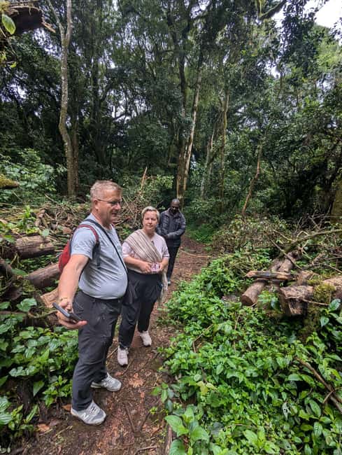 Moshi: Kilimanjaro Climb Marangu Route Guided Tour - Marangu Gate to Mandara Hut: Rainforest Walk and Wildlife Moments