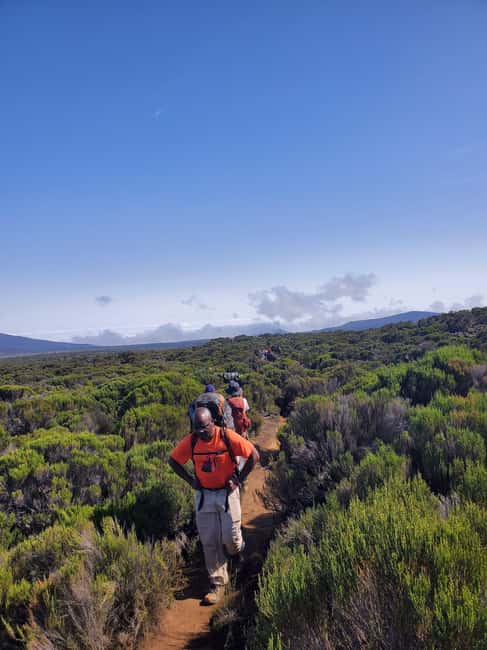 Moshi: Kilimanjaro Climb Marangu Route Guided Tour - The Downhill: Retracing the Trail in 2 to 3 Hours