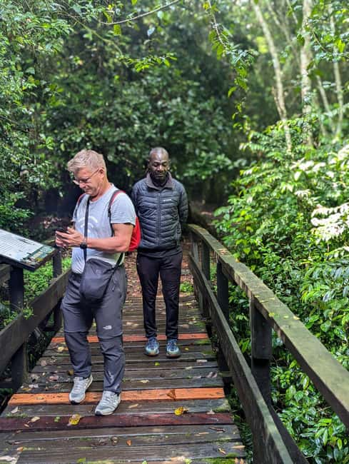 Moshi: Kilimanjaro Climb Marangu Route Guided Tour - Price and Value for a $101 One-Day Hike