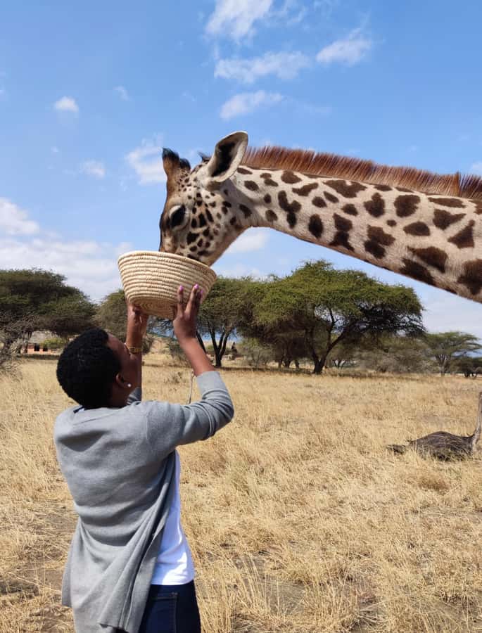 Moshi: Serval Wildlife Tour with food and drinks - Key highlights you should care about