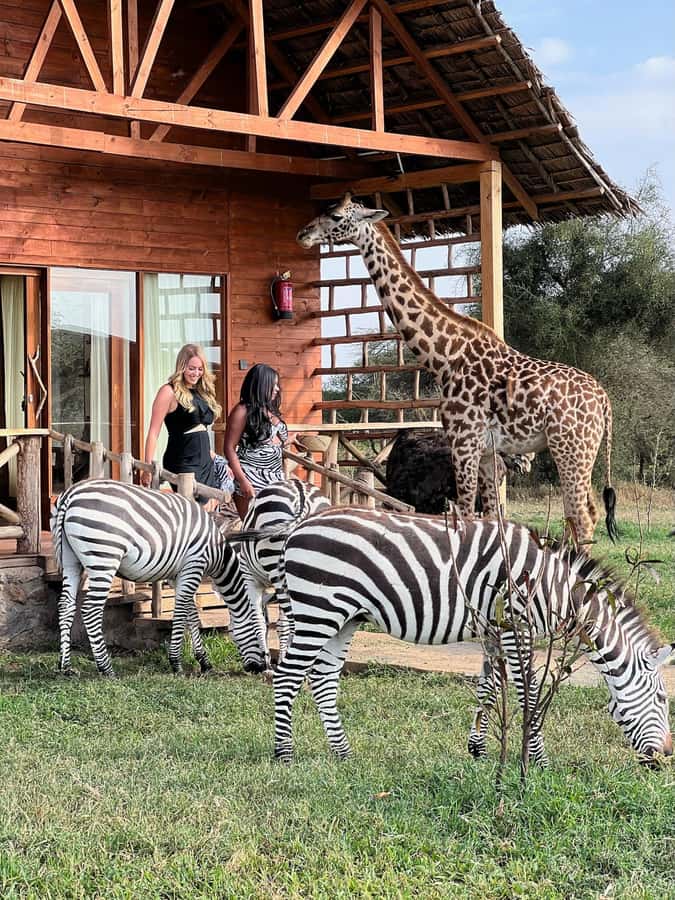 Moshi: Serval Wildlife Tour with food and drinks - Inside Siha District: What you’ll see and what to expect at the sanctuary