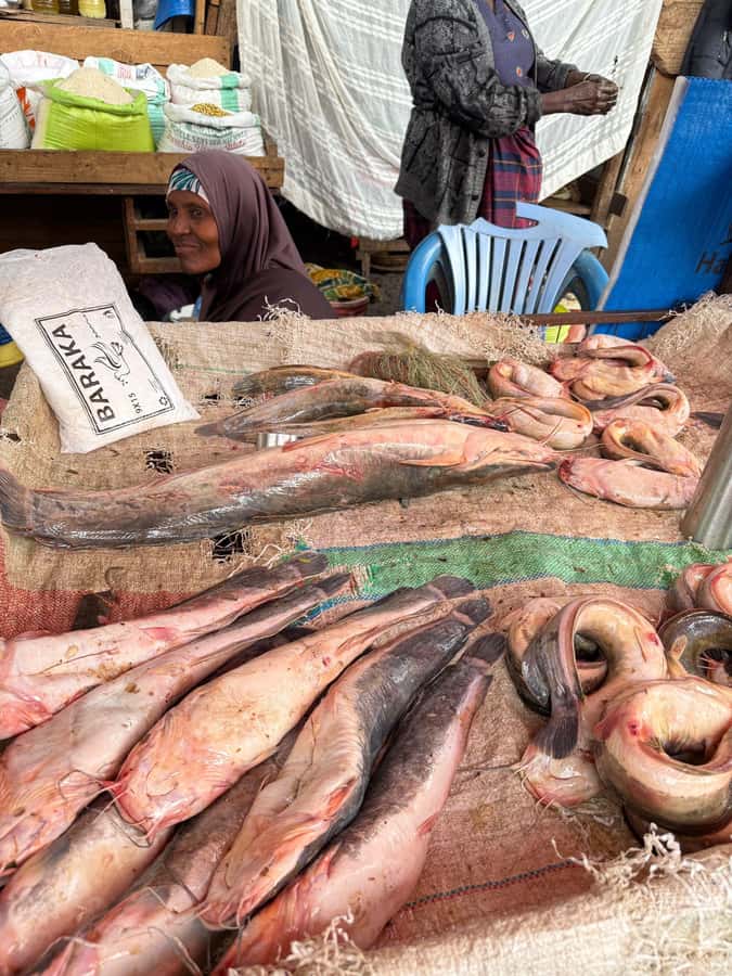 Moshi town 1 day tour - Central market first, so everything else makes sense