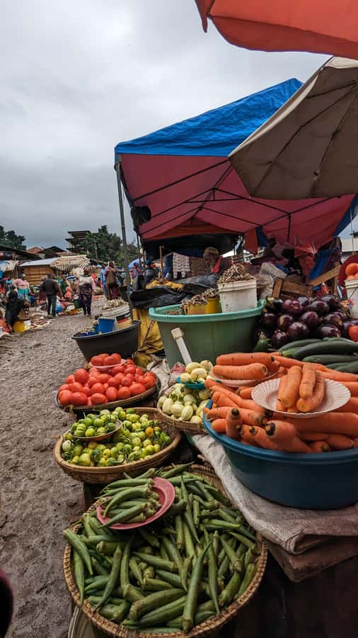 Moshi Town: Walking Tour: Theme Urban lifestyle - Key highlights worth your attention