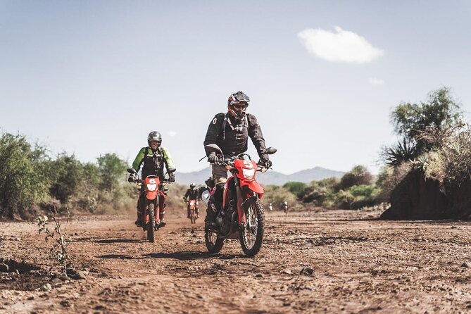Motorcycle Safari - Wildlife chances: what you might see, and how to handle it