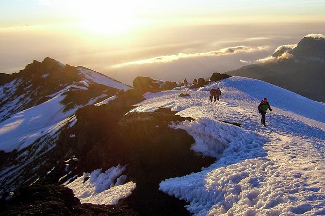 Mount Kilimanjaro 6 days - Machame route - Barafu Camp and the South Circuit feel: Day 4’s role is rest and readiness