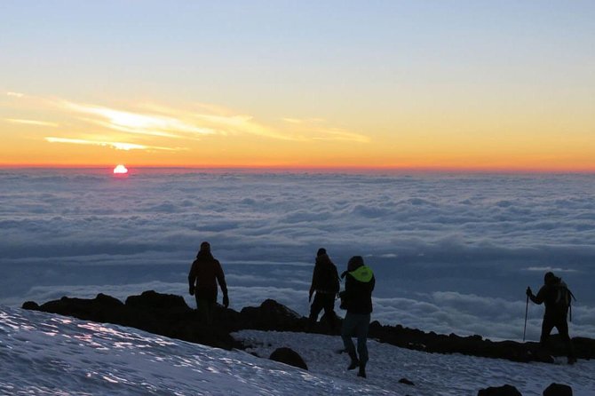 Mount Kilimanjaro 6 days - Machame route - Down to Mweka Park Gate and Moshi: Day 6’s certificate run and the wet-mud reality