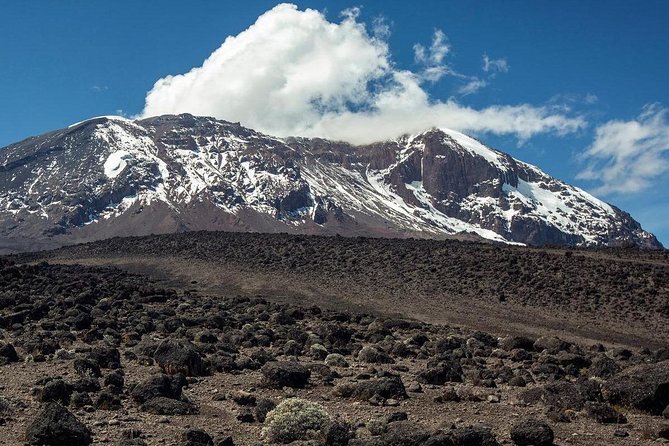 Mount Kilimanjaro 6 days - Machame route - Price and logistics: what $2,220 actually buys on Kilimanjaro