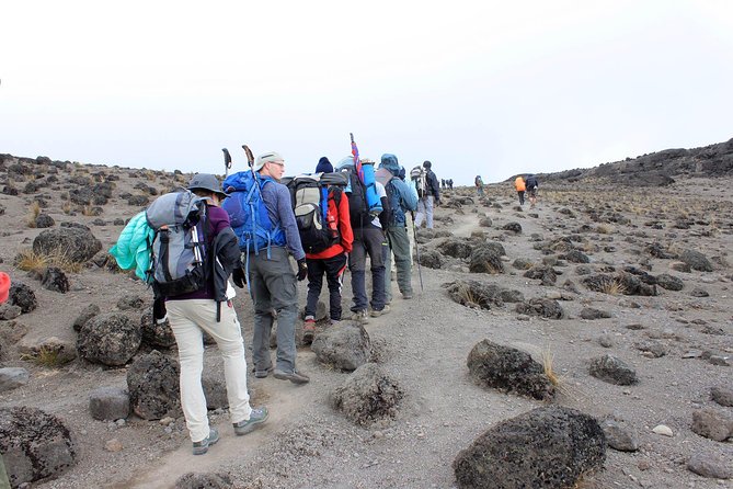 Mount Kilimanjaro 7 Days - Machame Route - Day 2, Into the Park: Shira Plateau Ascent and Rocky Ridge Work