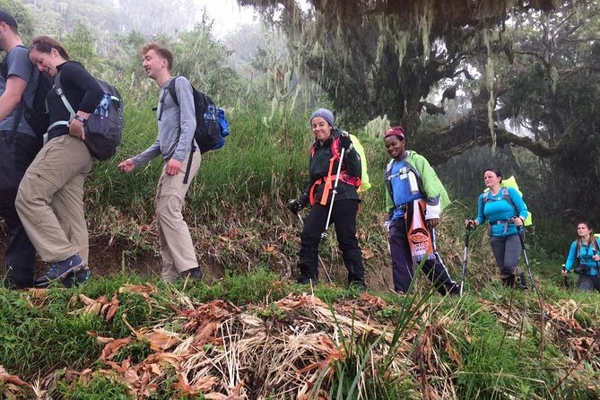 Mount Kilimanjaro 7 Days - Machame Route - Day 3, Shira to Barranco: The Lava Tower Shark’s Tooth Moment