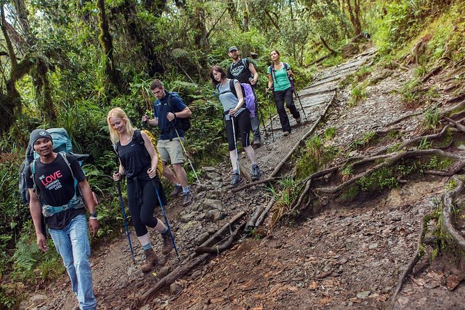 Mount Kilimanjaro 7 Days - Machame Route - Day 5, Barafu Camp: The Rest, Views, and Summit Prep Day