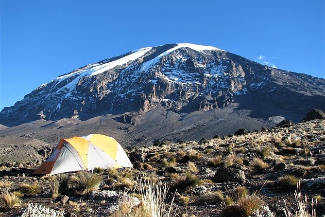 Mount Kilimanjaro 7 Days - Machame Route - Day 6, Midnight to Stella Point and the Summit at 5,895 m