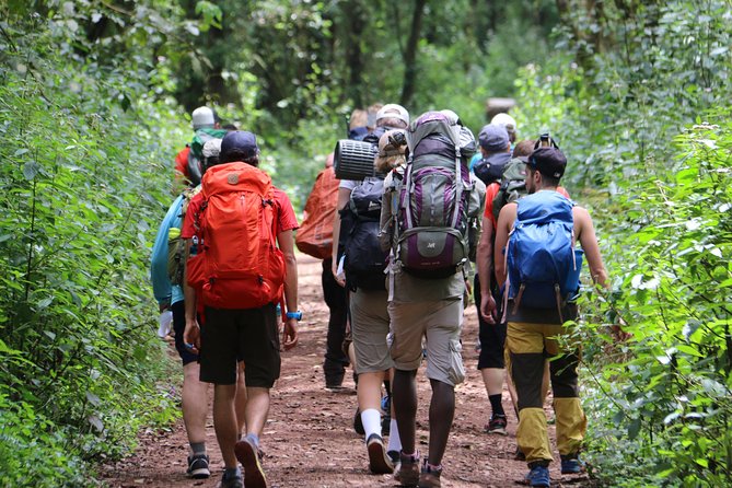Mount Kilimanjaro Day Hike - Arusha hotel pickup and the 3-hour drive to Marangu Gate
