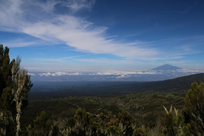 Mount Kilimanjaro Day Hike - The Marangu Route climb: rainforest, lower altitudes, and real trail rhythm