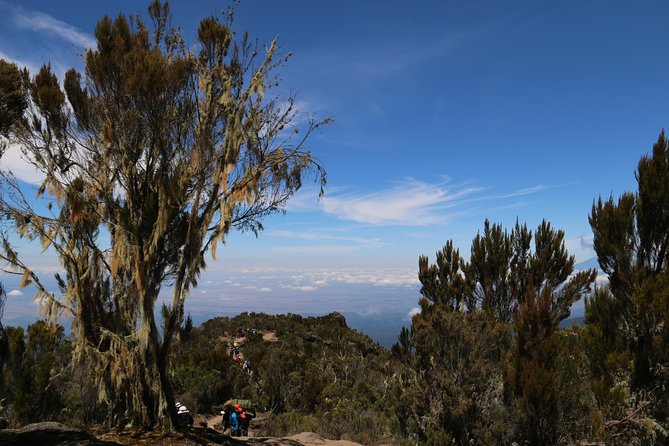 Mount Kilimanjaro Day Hike - Weather reality: why your start time matters and how rain changes the day