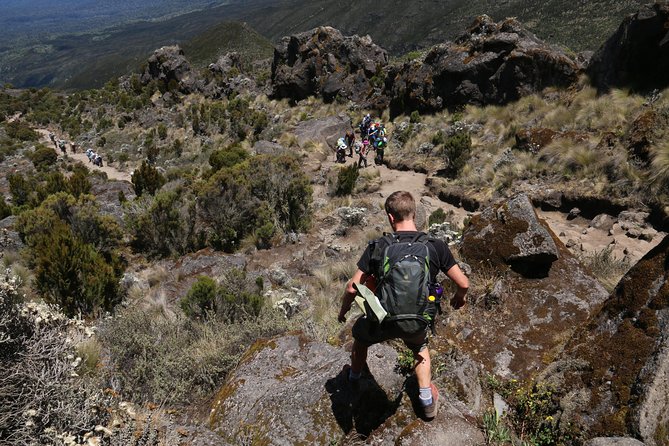 Mount Kilimanjaro Day Hike - Who should book this day hike (and who might not)