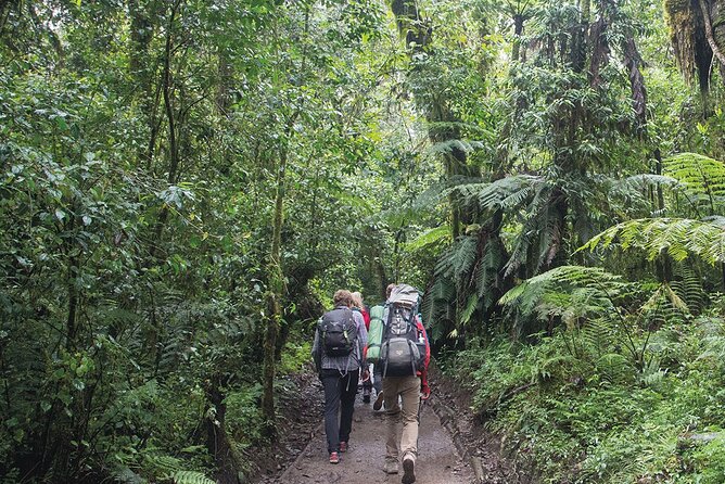 Mount Kilimanjaro Day Hike Through Marangu Route to Mandara Hut - Rain, mist, and altitude: packing that actually helps