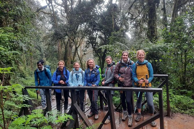 Mount Kilimanjaro Day Hike Through Marangu Route to Mandara Hut - Marangu Gate in the morning: permits, briefing, and first steps