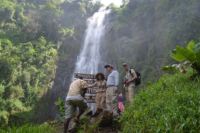 Mount Kilimanjaro day trip trekking - Key Highlights You Can Feel in the Day