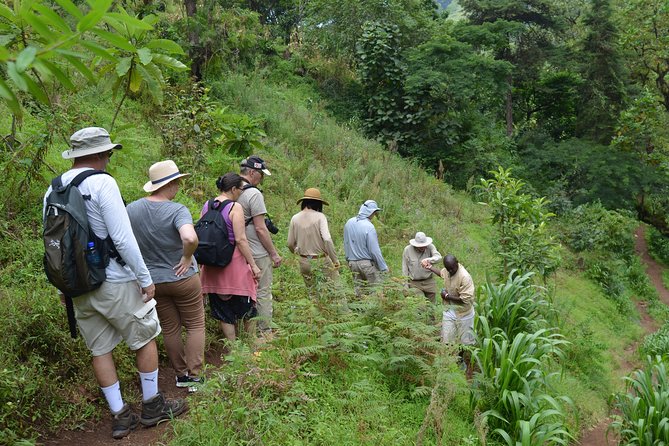 Mount Kilimanjaro day trip trekking - Kikuletwa Hot Springs: Your Late-Day Reward