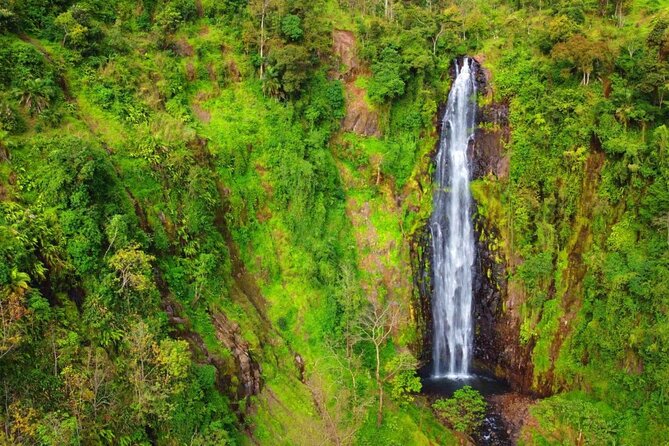 Mount Kilimanjaro day trip trekking - Lunch, Drinks, and Why $90 Can Actually Be Fair