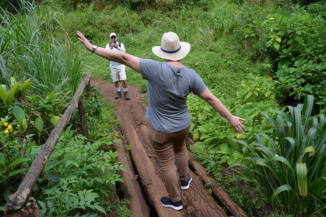 Mount Kilimanjaro day trip trekking - Guide Quality: What You Should Ask and What to Watch