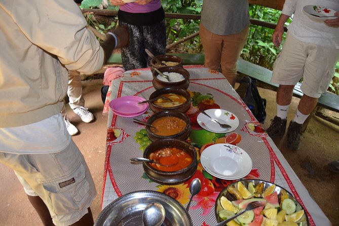 Mount Kilimanjaro day trip trekking - Should You Book This Day Trip to Materuni and Kikuletwa?