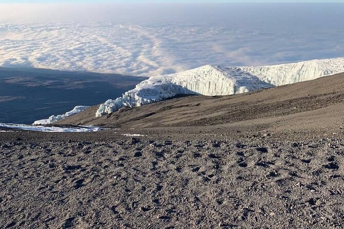 Mount Kilimanjaro - Lemosho Route - Day 2: Shira Ridge and the Shift From Forest to Heath and Moorland