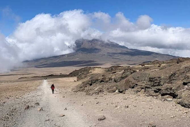 Mount Kilimanjaro - Lemosho Route - Day 4: Barranco Wall to Karanga Valley (Shorter, But Not Easy)