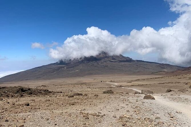 Mount Kilimanjaro - Lemosho Route - Day 7: Down to Mweka Gate Through Forest