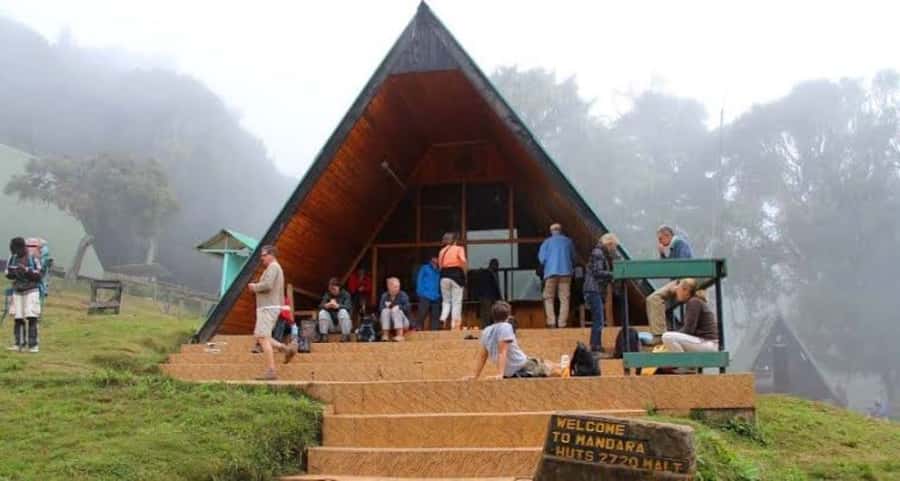 Mount Kilimanjaro National Park Day Trip - Key Things to Know Before You Go