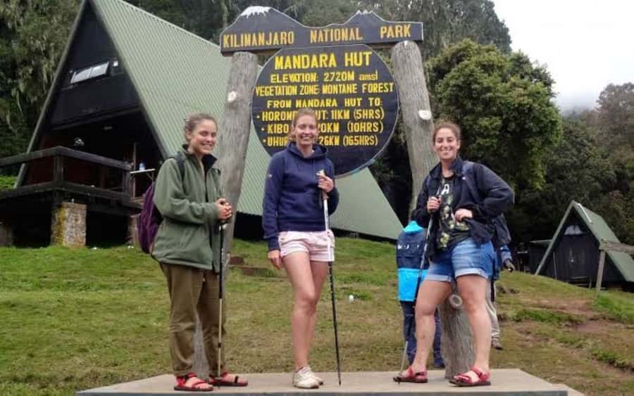 Mount Kilimanjaro National Park Day Trip - Rainforest Trek Toward Mandara Hut at About 2,700 Meters