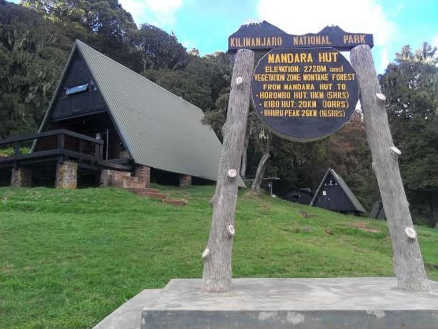 Mount Kilimanjaro National Park Day Trip - What to Bring (So You Don’t Regret It at 2,700 Meters)