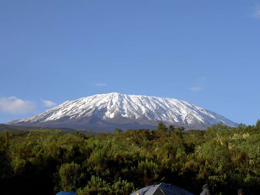 Mount Kilimanjaro National Park Day Trip - From Arusha or Moshi to Marangu Gate: The Drive Part You Should Plan For