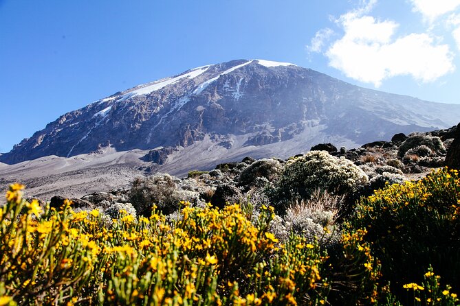 Mount Kilimanjaro Rongai Route - Day 3: Shorter but Steeper to Mawenzi Tarn