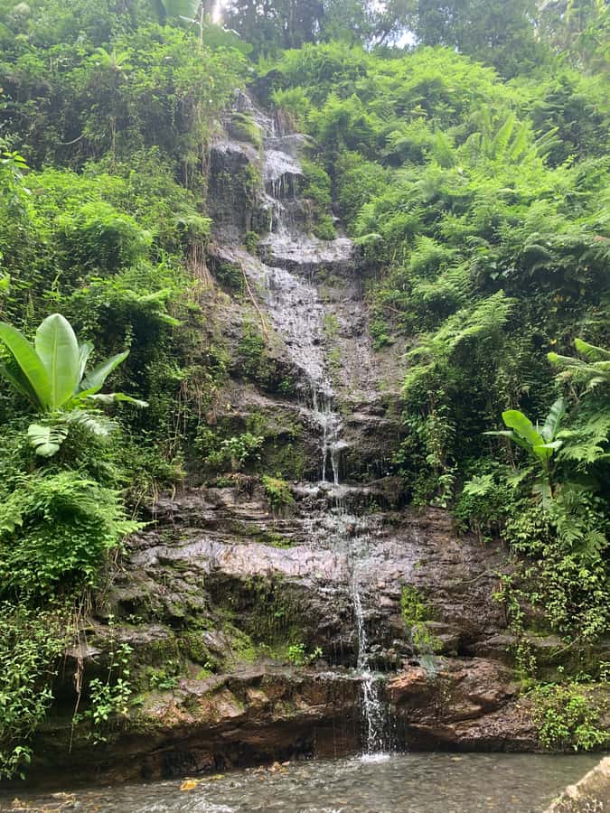 Mount Meru Arusha: Napuru Waterfall Hike by Kingstone Asilia - The Return Trip Up: Same Path, Different Pace
