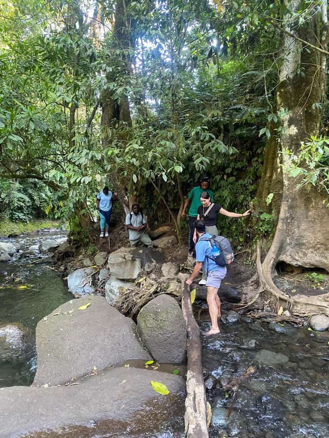 Mount Meru Arusha: Napuru Waterfall Hike by Kingstone Asilia - When This Hike Fits Best (And When It Might Not)