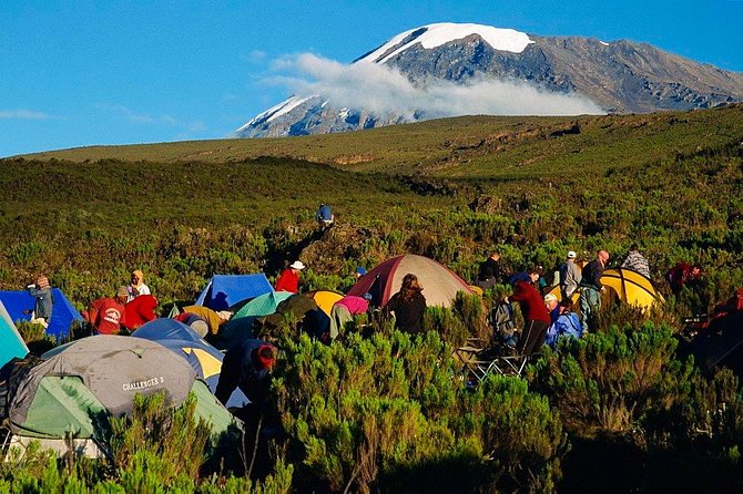 Mountain Kilimanjaro Climbing 7 Days Machame Route - Key things you should know before you go