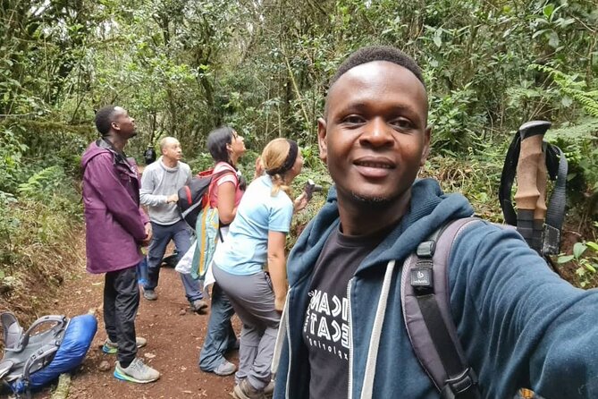 Mountain Kilimanjaro Day Hike - The hike up toward Mandara Hut: steady uphill in rainforest