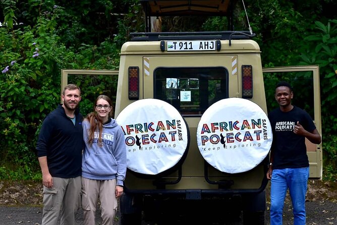 Mountain Kilimanjaro Day Hike - Picnic lunch at Mandara: refuel, rest, and reset