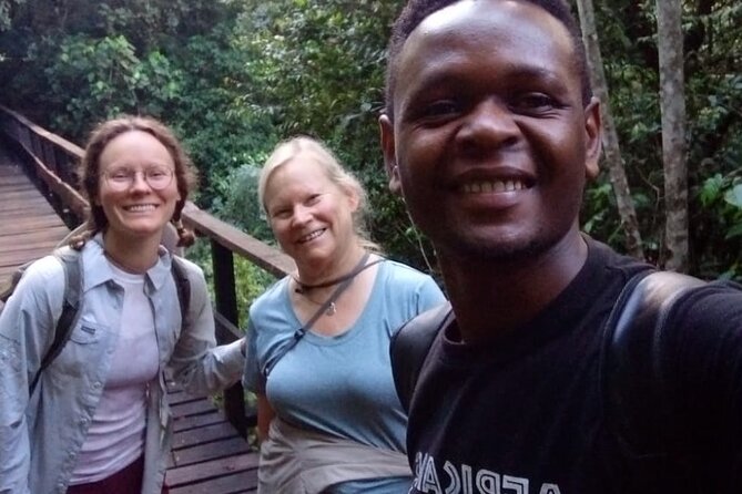 Mountain Kilimanjaro Day Hike - The descent back to the Main Gate: slower, safer, and easier on the mind