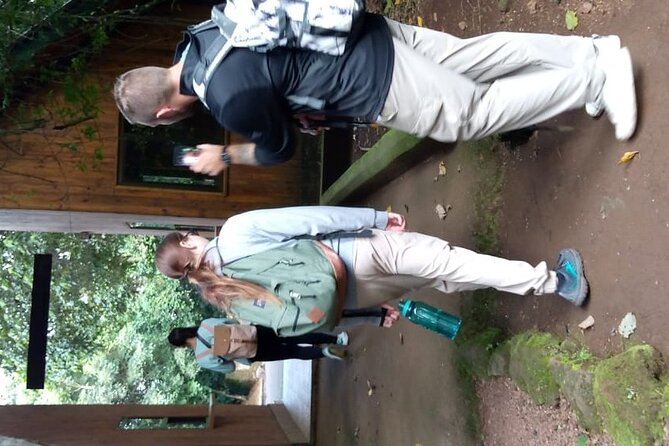 Mountain Kilimanjaro Day Hike - Guides, group size, and what private really changes