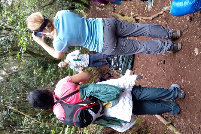 Mountain Kilimanjaro Day Hike - Marangu gate: where the official start sets the tone