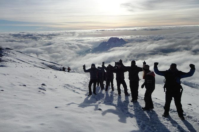 Mt Kilimanjaro 360° Trek with Once-in-a-Lifetime Crater Camping - Day 1 in the rainforest: Mti Mkubwa Camp and the muddy warm-up