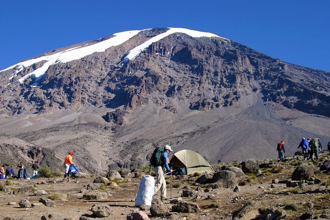 Mt Kilimanjaro 360° Trek with Once-in-a-Lifetime Crater Camping - Acclimatization day with Lava Tower: how the Barranco-style design helps
